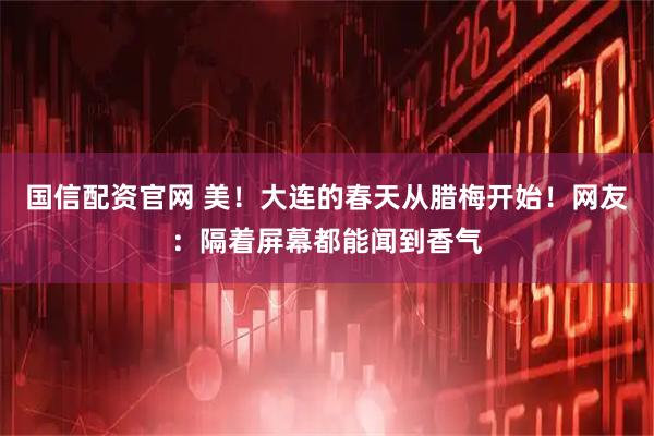 国信配资官网 美！大连的春天从腊梅开始！网友：隔着屏幕都能闻到香气