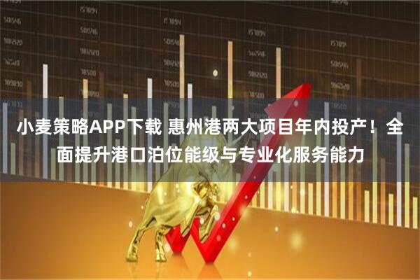小麦策略APP下载 惠州港两大项目年内投产！全面提升港口泊位能级与专业化服务能力