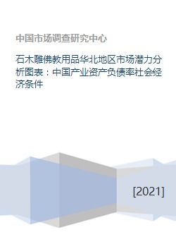 石木雕佛教用品华北地区市场潜力分析图表 中国产业资产负债率社会经济条件