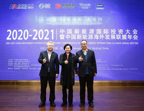 2020 2021中国新能源国际投资大会暨中国新能源海外发展联盟年会 为 双循环 碳中和 大合作 发声